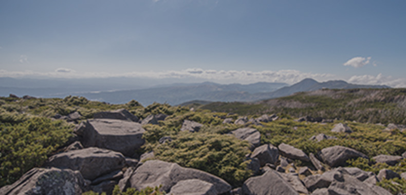 理念・沿革
